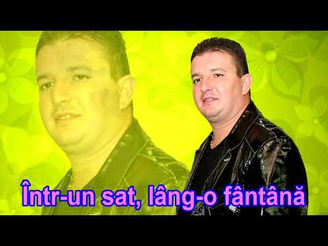 Calin Crisan - Intr-un sat, lang-o fantana