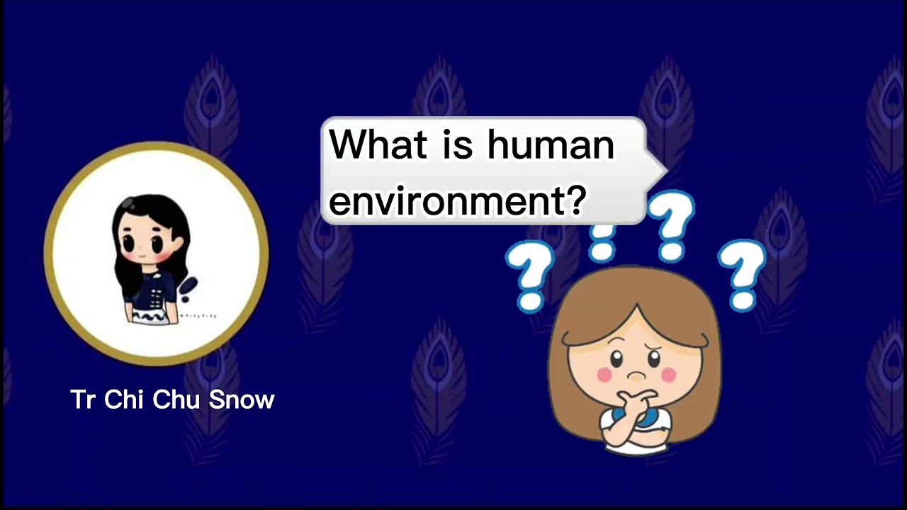 Lesson 2 -Environment