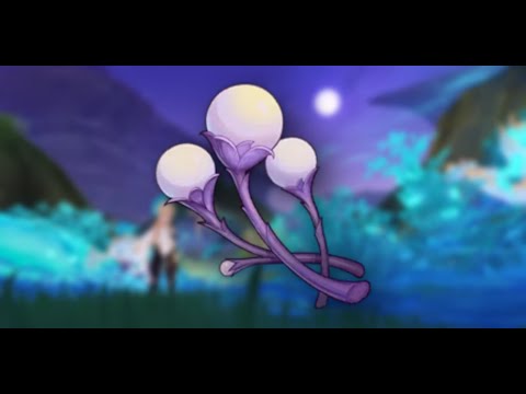 How to get the udumbara to the residual pari / Genshin Impact