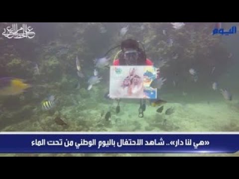 «هي لنا دار».. شاهد الاحتفال باليوم الوطني من تحت الماء