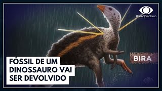 Miniatura do vídeo