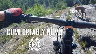 Taking you through the IMBA epic Comfortably Numb, the ride I came to Whistler for.