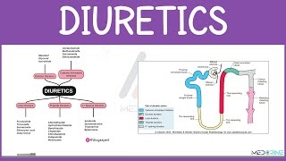 Diuretics Pharmacology Simplified: Classifications, Mechanisms, indication and Adverse effects