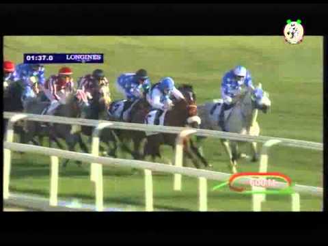 HH The Heir Apparent Trophy (Gr2 P/A)