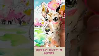 【犬の絵描き方】ミニチュア・ピンシャーを描く桜の背景|水彩×色鉛筆 #howtodraw #shorts