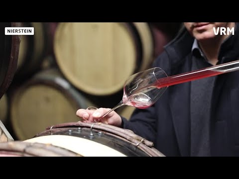 Mainzer wagt Neustart als Winzer