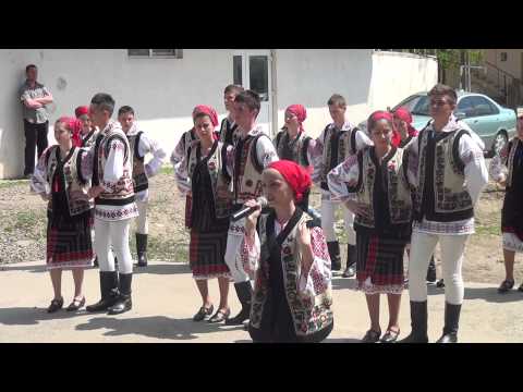 Ansamblul Doina Costesti  2013