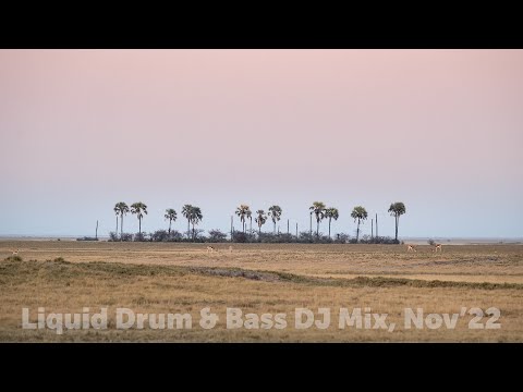 Liquid Drum & Bass DJ Mix, November'22