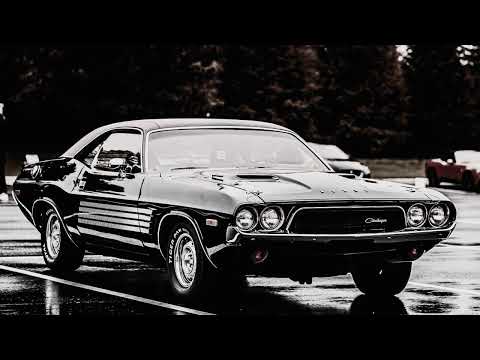 KITSCHKRIEG FEAT. TRETTMANN, GRINGO, UFO361 & GZUZ  -  STANDARD  OFFICIAL VIDEO