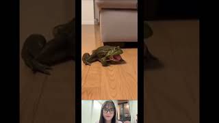 Download lagu Hung dữ quá #music #love #song #coversong #singersongwriter #cover #sadcoversong #duet #funny mp3 Download lagu Hung dữ quá #music #love #song #coversong #singersongwriter #cover #sadcoversong #duet #funny mp3