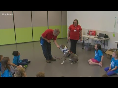 download lagu mp3 mp4 Summer Camps Seattle 2019, download lagu Summer Camps Seattle 2019 gratis, unduh video klip Summer Camps Seattle 2019