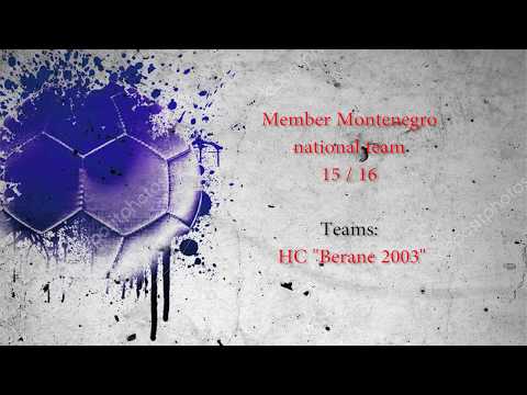 Ilda Ramusovic handball player CV