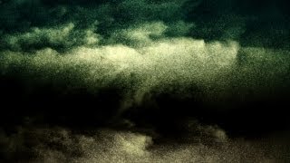 "The Repetitions" - Brim Liski