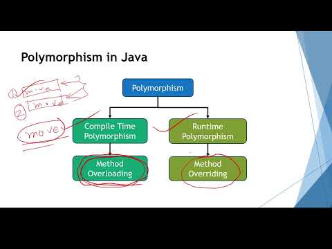 L 10 Polymorphism Bangla Java Tutorial