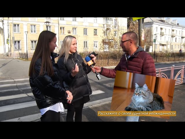 26 октября – День приятных неожиданностей