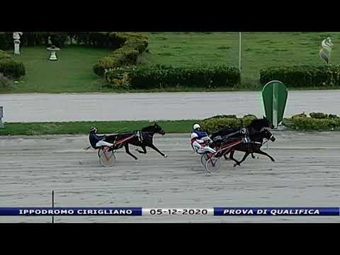 Aversa trotto 5 Dicembre 2020 - Prova di qualifica