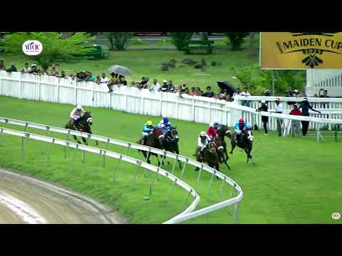 Hippisme : Suivez en direct la 6ème course de la 12ème journée de course au Champ de Mars.