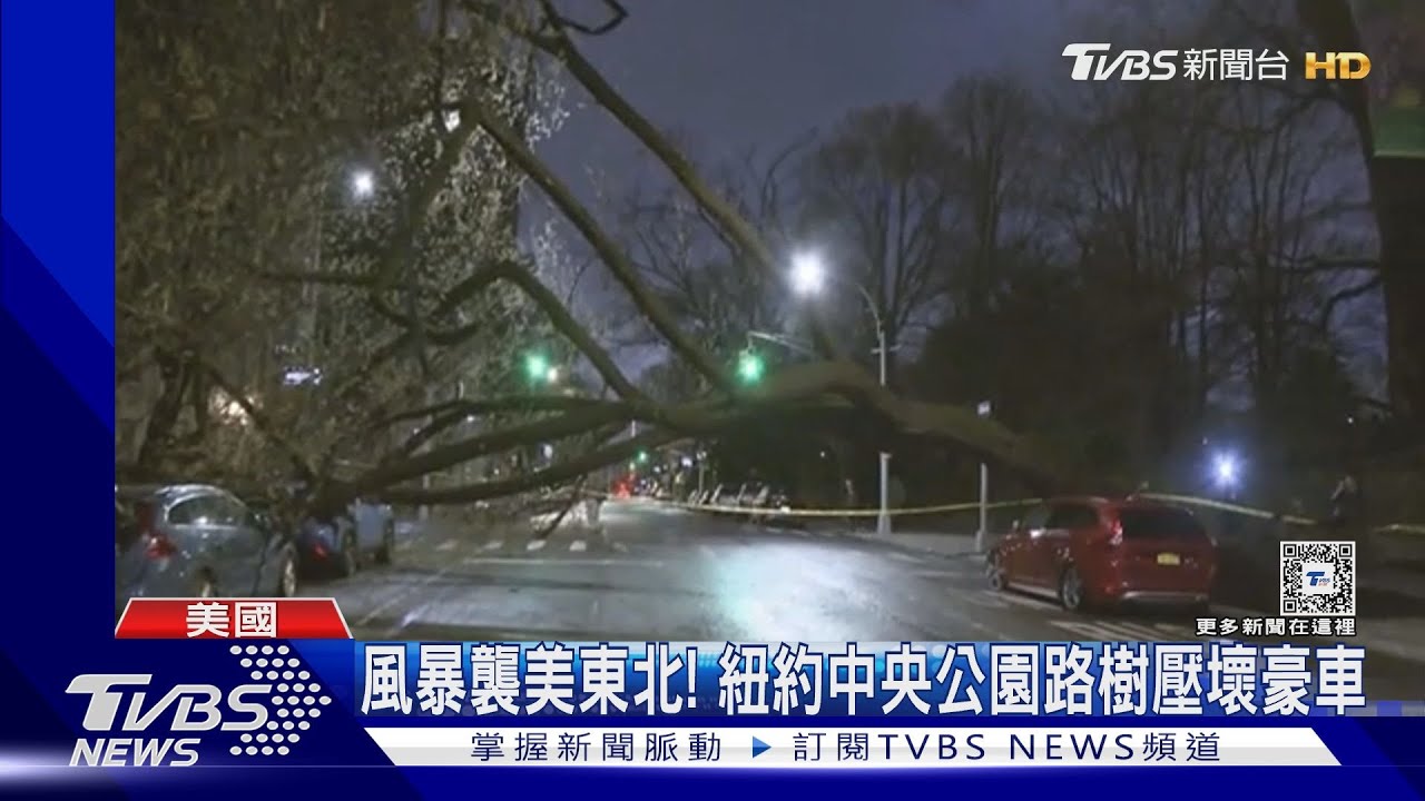 冬季風暴侵襲美國東北！　紐約中央公園路樹壓壞豪車