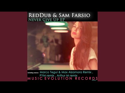 Never Give Up (Original Mix)