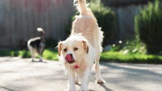 “No matter how long the winter, the Spring is sure to follow”