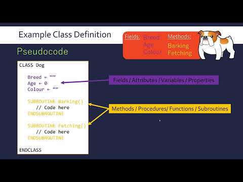 Object-Oriented Programming: Objects and Classes