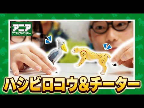 【アニア研究所】#1「振るとうごく！？チーター＆ハシビロコウ」