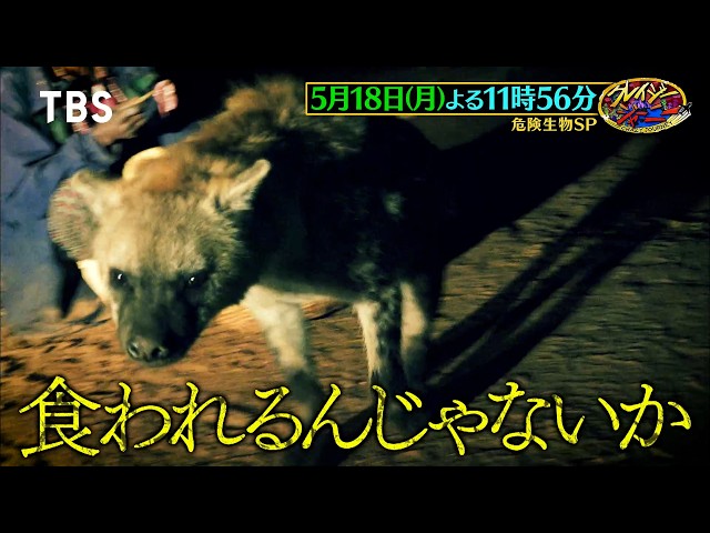 クレイジージャーニー🈑