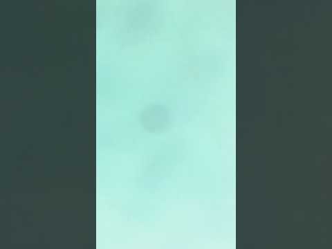 22 de noviembre de 2025