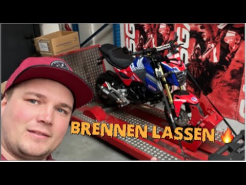 Honda MSX Grom 125 Prüfstand Auspuffanlage Vergleich was drückt Sie#grom #dyno #tuning #honda  #msx