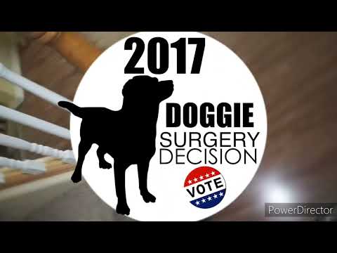 Ytp: Cat Kitty Talking