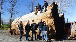 Welcome to Wood-Mizer Sawmills California