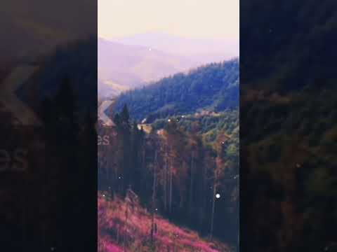 Nature short video 🌲🌲#trending #hashtag #status#viral  #nature #short