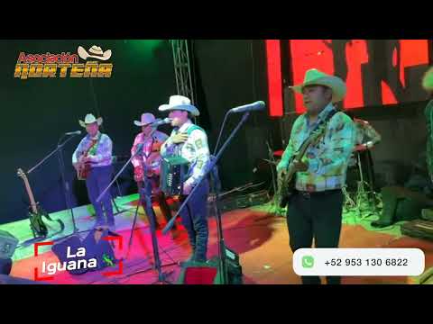 La Iguana 🦎 - Grupo La Asociación Norteña (En Vivo Desde San Antonio Acutla, Oaxaca)