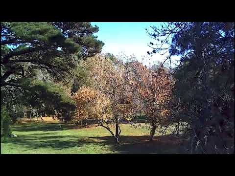 Camping Arequita Minas Lavalleja Uruguay Vista aerea baja Dron