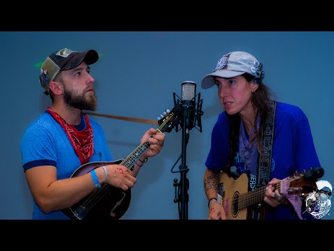 Apes Of The State - Plate Glass Apology - DIY Sessions