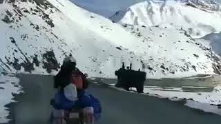 Leh Ladakh Road Trip l WhatsApp Status Leh Ladakh