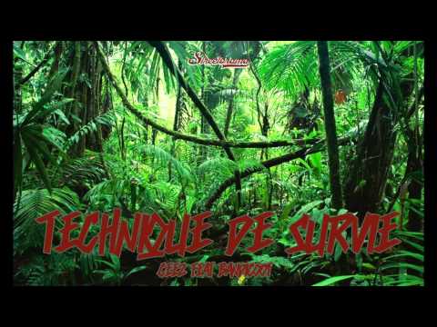 Ceez feat Bandicoot - Technique de Survie