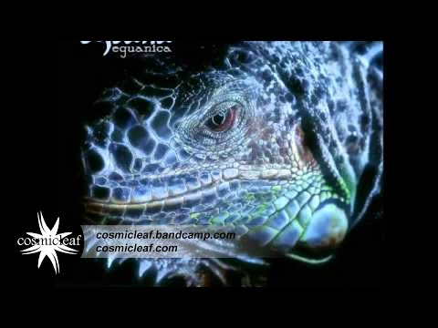 Eguana - Walking On Atlantis  (Chill Out)