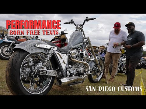 Born Free Texas Part Two: The SDC Performance Show