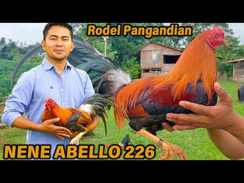 The Home of Possum 226 Nene Abello 226 Sweater - Double-R Farm Rodel Pangandian