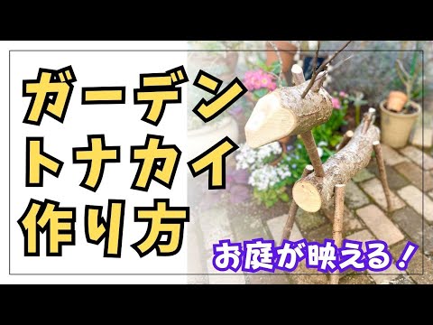 マルメロ開花