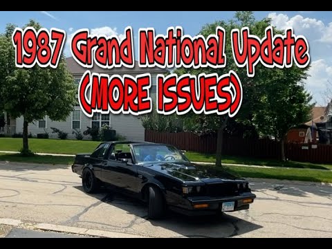 1987 Grand National Update (MORE ISSUES)