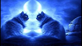 Ben Aqua - Drunk Moments ♥In Love♥ (Beyoncé x Art Of Noise MASHUP)