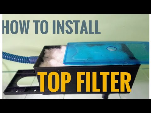 Top Filter Aquarium setup | #aquarium #fishtank #aquariumfilter
