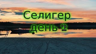 Ссылка