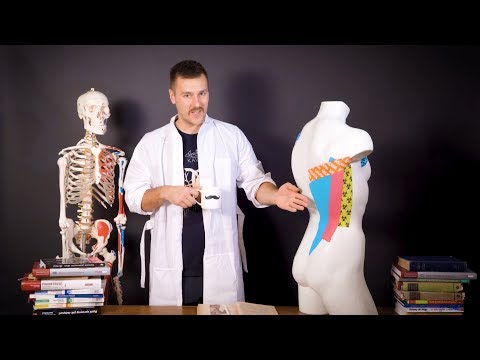 Mięśnie dla narciarzy Jak podkręcić centrum mięśni piersiowych