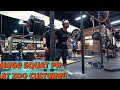 SQUAT PR AT ZOO CULTURE!