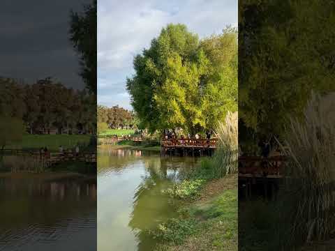 Otro hermoso espacio verde al sur de Buenos Aires cerca del Aeropuerto de Ezeiza