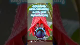 Download lagu vilakku vekkum #rhythmofblessedlife #song #motivation #morningmotivation #thoughts 0 mp3