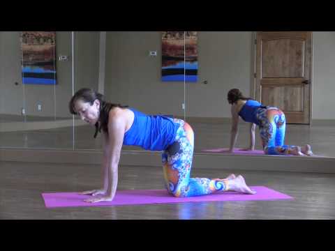 Four-Limbs Staff Pose (Chaturanga Dandasana)